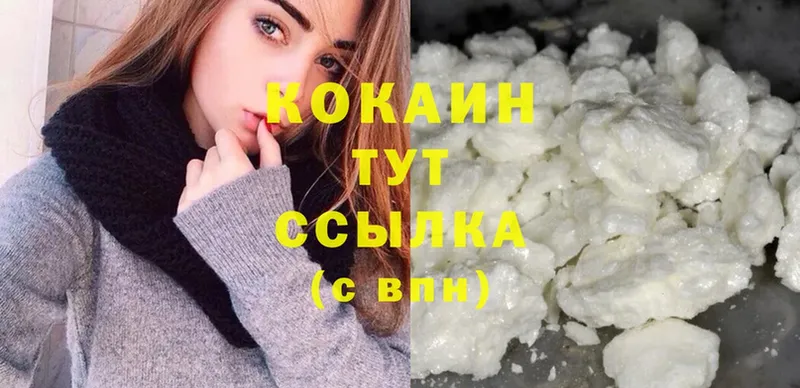 shop формула  Жиздра  Кокаин Эквадор  сколько стоит 